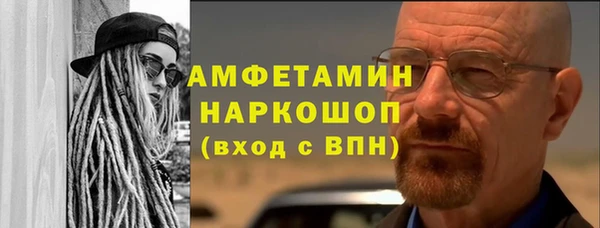 ПСИЛОЦИБИНОВЫЕ ГРИБЫ Бородино